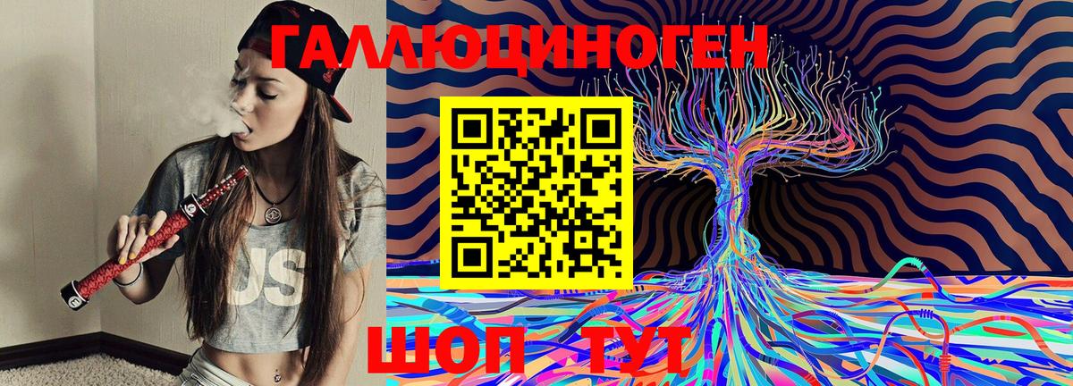 Псилоцибиновые грибы Psilocybe Гусев